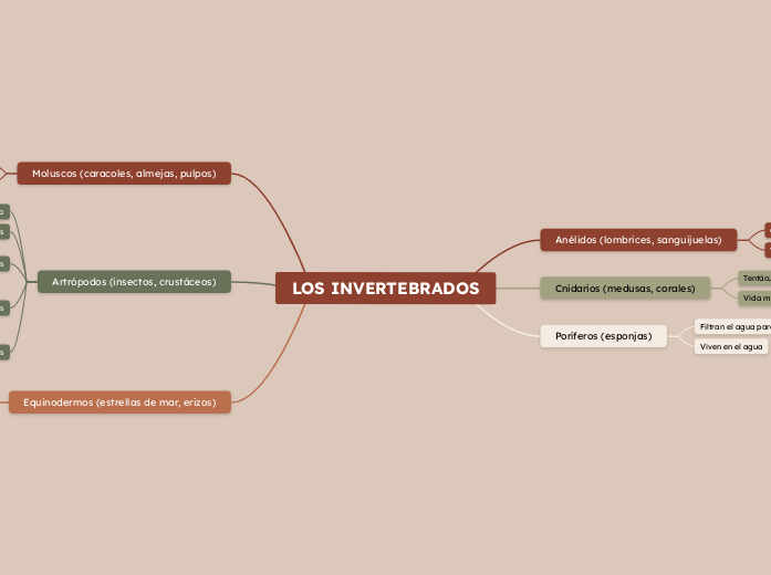 LOS INVERTEBRADOS