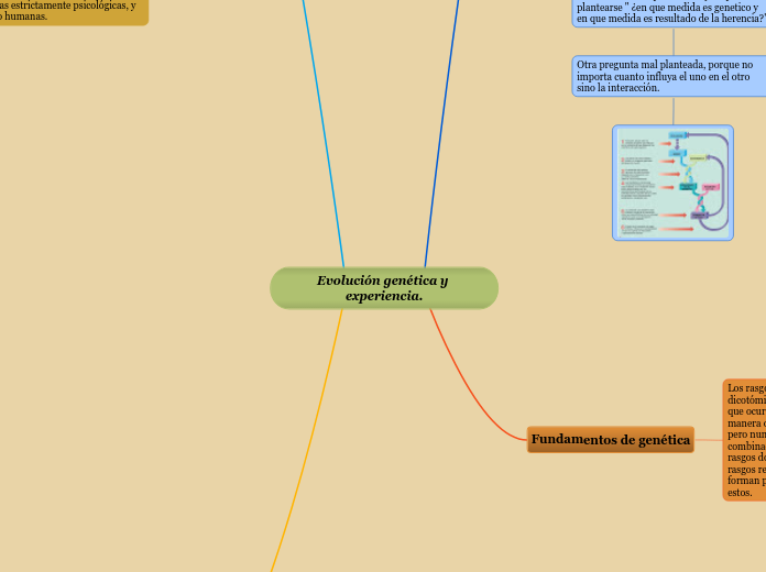 Evolución genética y experiencia.