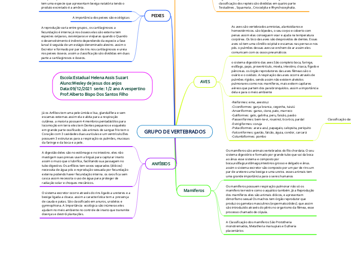GRUPO DE VERTEBRADOS wesley de jesus dos anjos