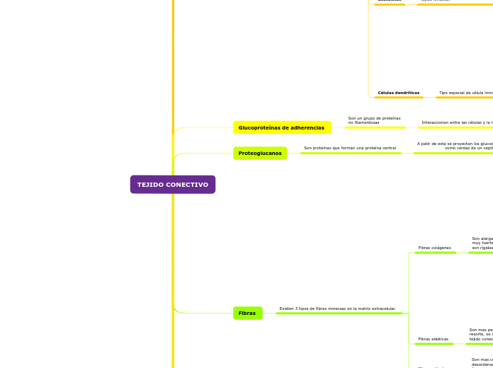 TEJIDO CONECTIVO