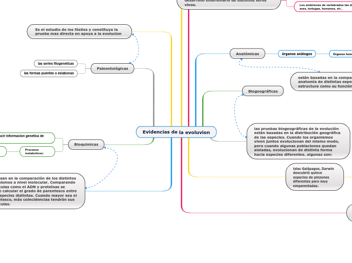 Evidencias de la evoluvion