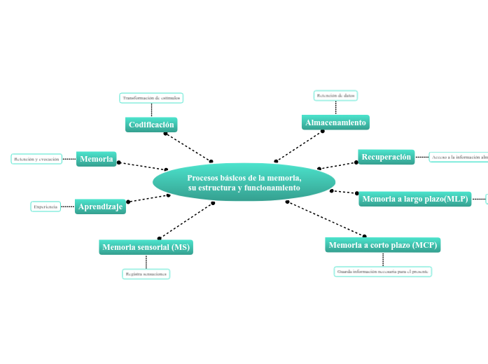 Procesos básicos de la memoria, su estructura y funcionamiento