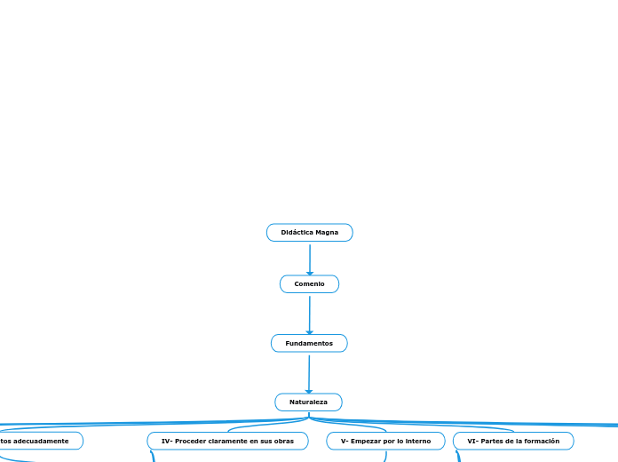 Didáctica Magna