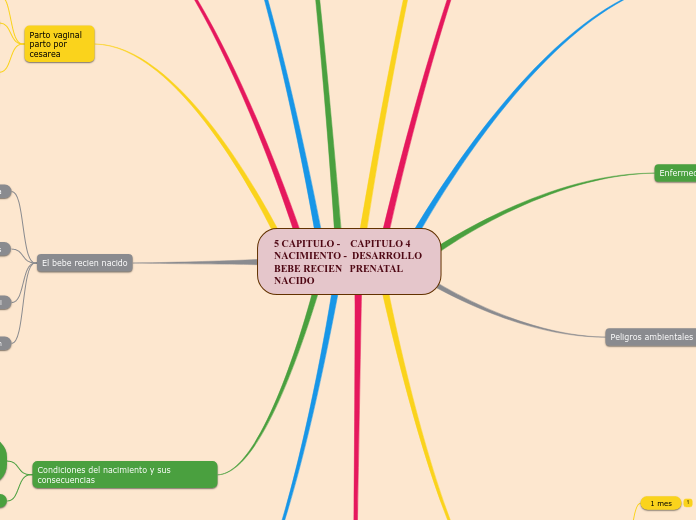 5 CAPITULO -    CAPITULO 4
NACIMIENTO -  DESARROLLO 
BEBE RECIEN   PRENATAL
NACIDO