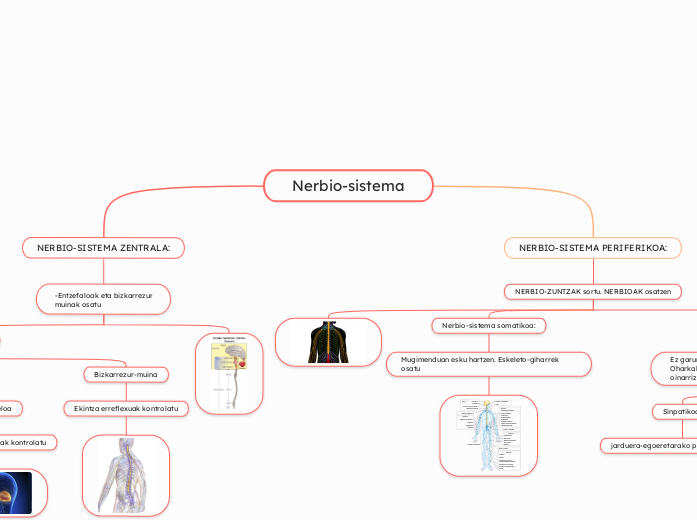 Nerbio-sistema