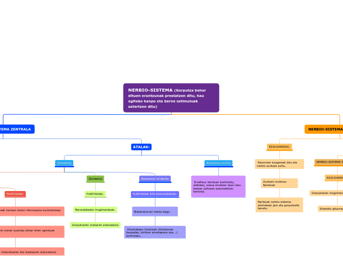 NERBIO-SISTEMA (Gorputza behar dituen erantzunak prestatzen ditu, hau egiteko kanpo eta barne estimuluak aztertzen ditu)