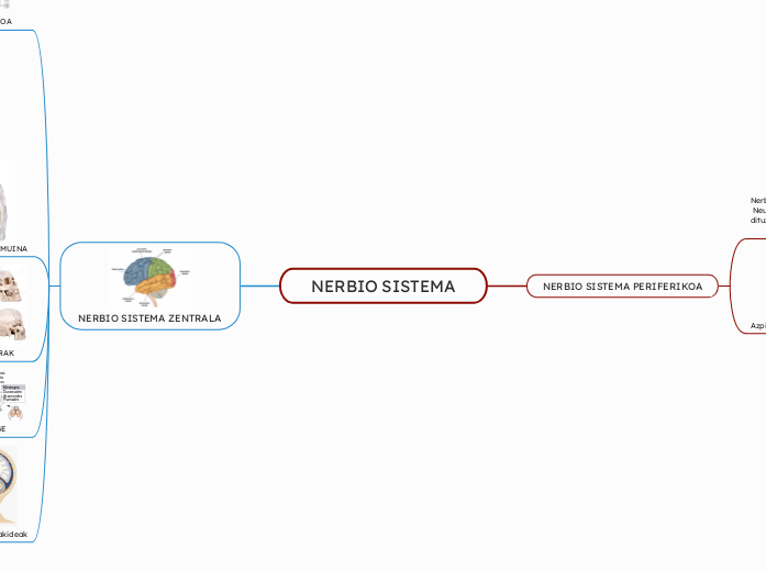 NERBIO SISTEMA
