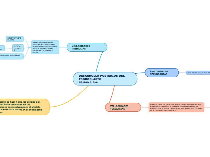 DESARROLLO POSTERIOS DEL TROBOBLASTO                                   SEMANA 3-4