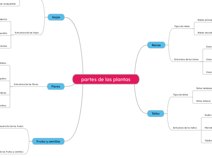 partes de las plantas