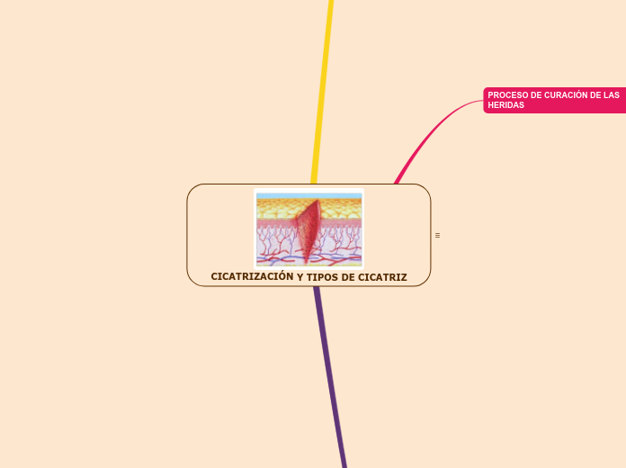 CICATRIZACIÓN Y TIPOS DE CICATRIZ