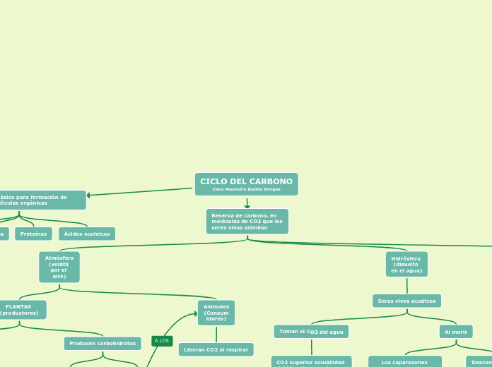 CICLO DEL CARBONO
Zaira Alejandra Badillo Bringas