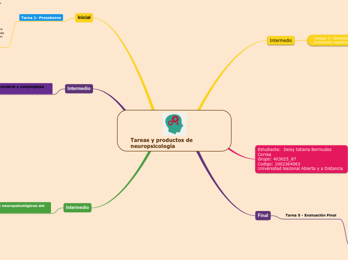 Tareas y productos de      neuropsicología