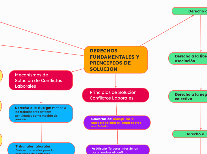 DERECHOS FUNDAMENTALES Y PRINCIPIOS DE SOLUCION