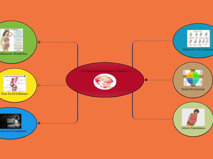 Factores En El Embarazo