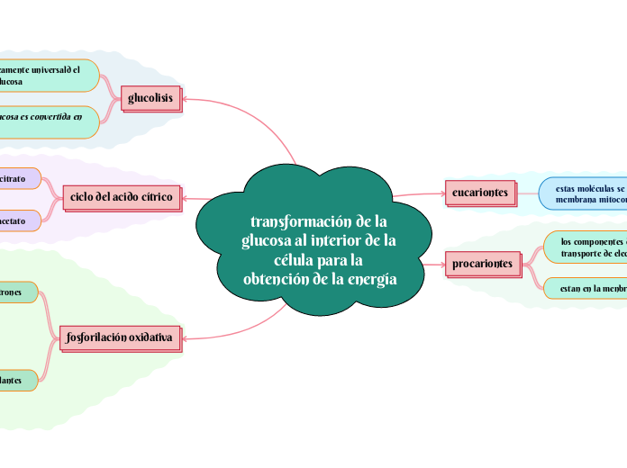 transformación de la glucosa al interior de la célula para la obtención de la energía