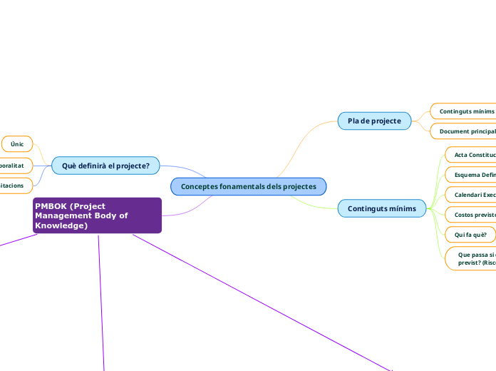 Conceptes fonamentals dels projectes