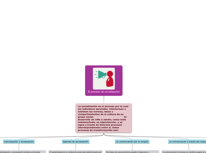 El proceso de socialización