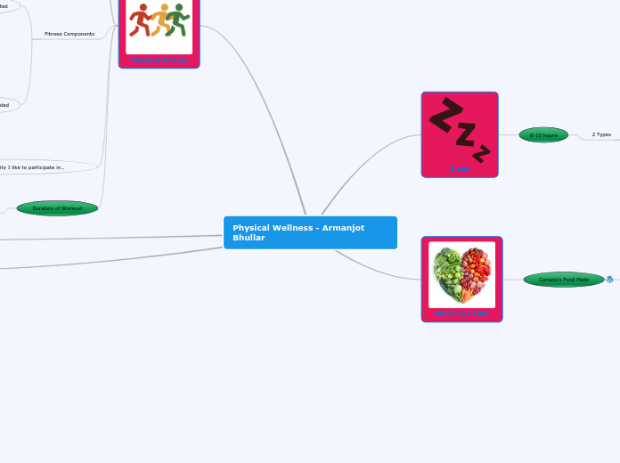 Mind Map Assignment PPL1OMA - Physical Wellness