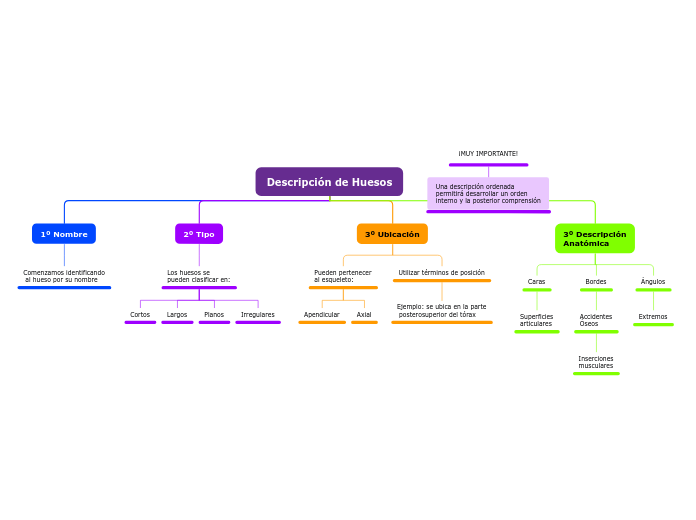 Descripción de Huesos