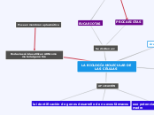 Sample Mind Map