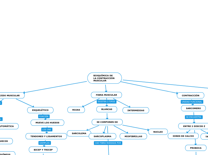 BIOQUÍMICA DE LA CONTRACCIÓN MUSCULAR