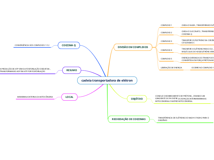 cadeia transportadora de elétron