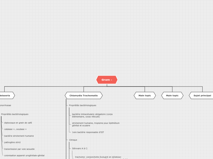 Organigramme en arbre