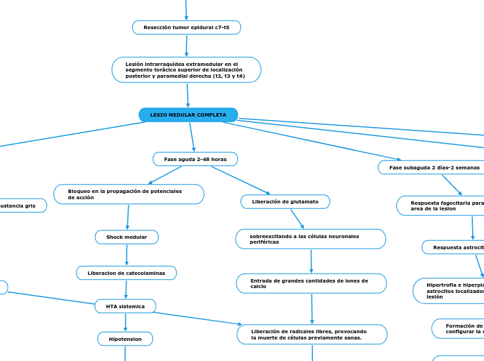 LESIO MEDULAR COMPLETA