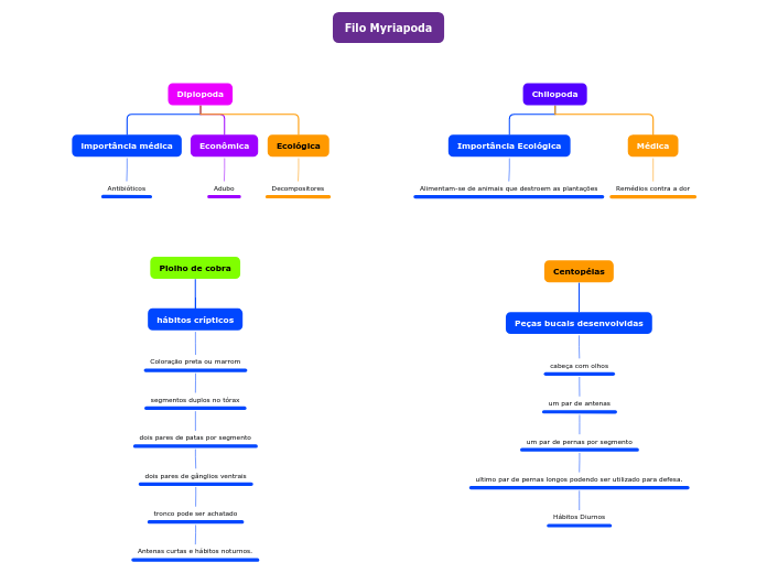 Organigrama