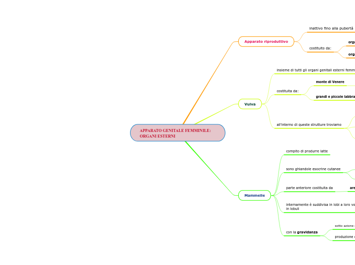 APPARATO GENITALE FEMMINILE: ORGANI ESTERNI