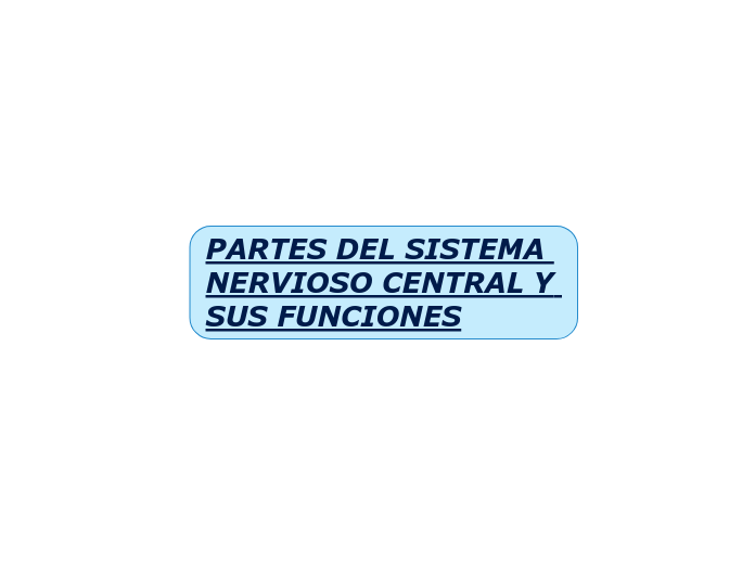 PARTES DEL SISTEMA NERVIOSO CENTRAL Y SUS FUNCIONES