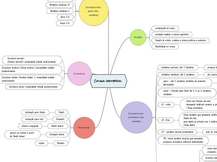Coluna vertebral 