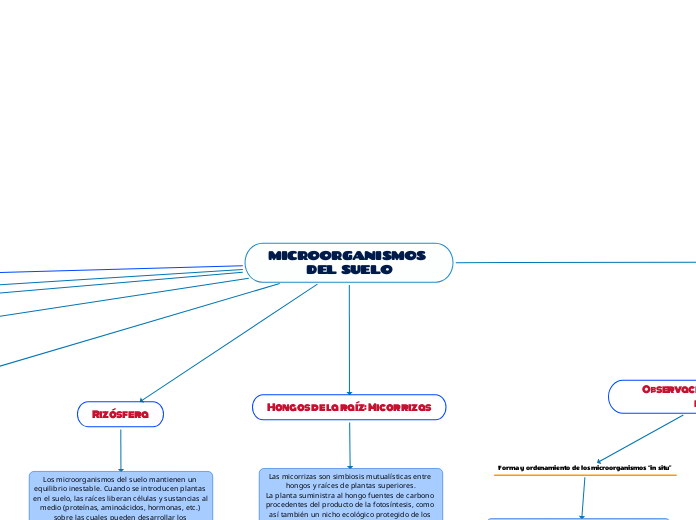 MICROORGANISMOS DEL SUELO