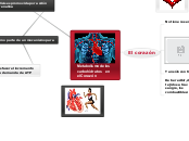 metabolismo