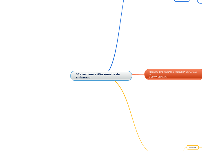 3Ra semana a 8Va semana de Embarazo
