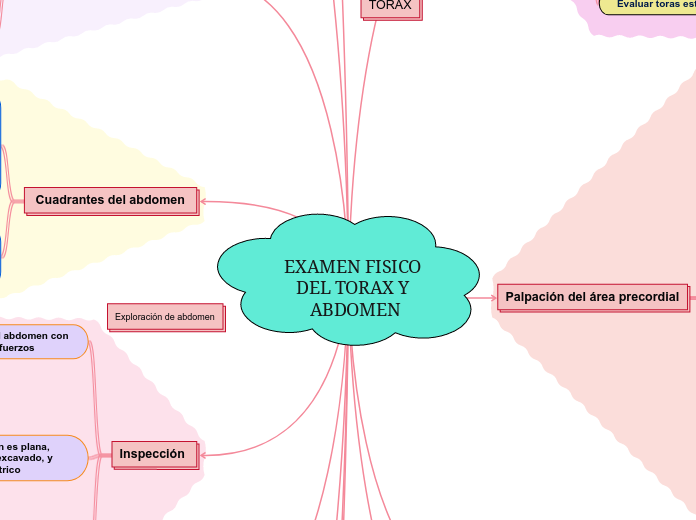 EXAMEN FISICO DEL TORAX Y ABDOMEN
