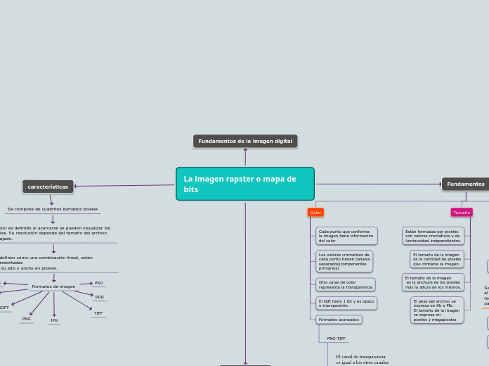 La imagen rapster o mapa de bits