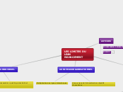 LES LIMITES DU LEAN MANAGEMENT