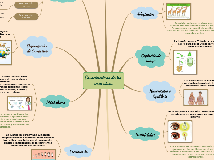 Características de los 
seres vivos.