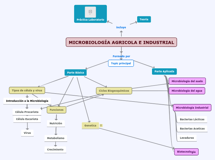 mapa conceptual 2 Microbiología