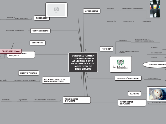 CONDICIONAMIENTO INSTRUMENTAL APLICADO A UNA RATA WISTAR CON LABERINTO DE TRES BRAZOS