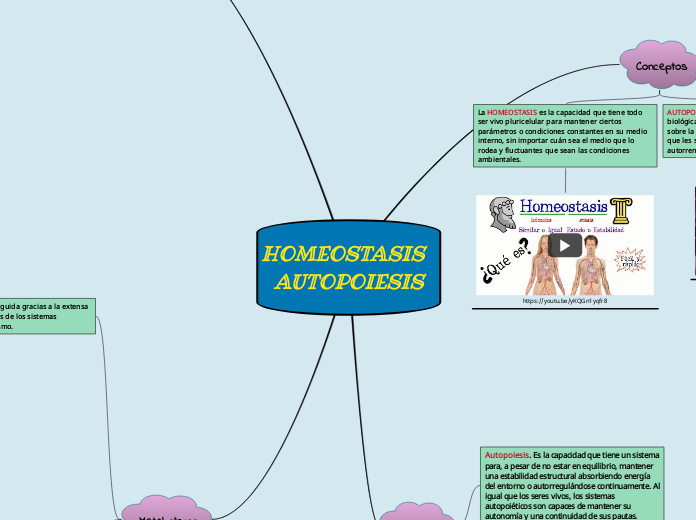 HOMEOSTASIS                 AUTOPOIESIS