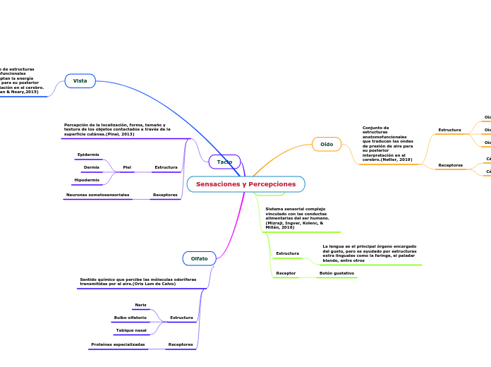 Sensaciones y Percepciones