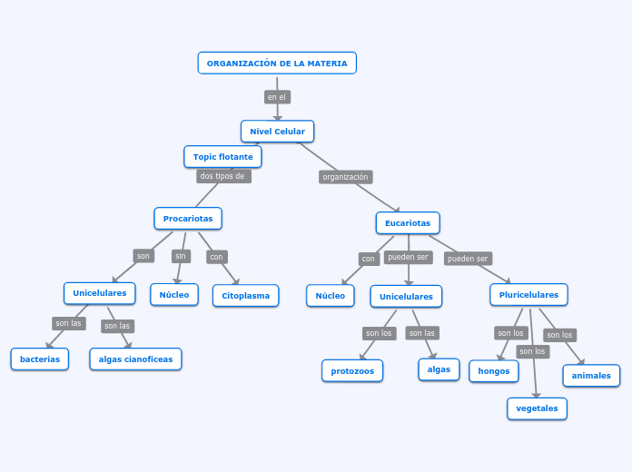 ORGANIZACIÓN DE LA MATERIA