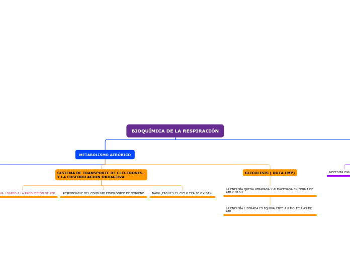 BIOQUÍMICA DE LA RESPIRACIÓN