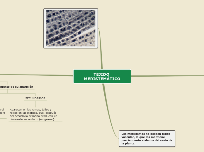 Sample Mind Map