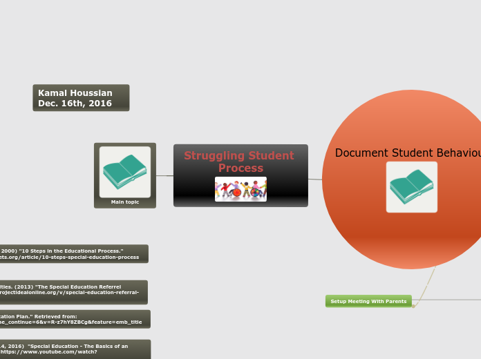 Struggling Student Process