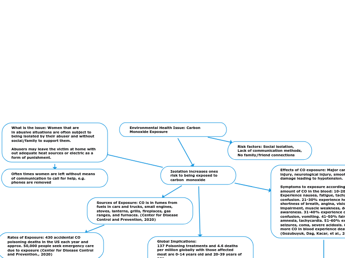 Environmental Health Issue: Carbon Monoxide Exposure