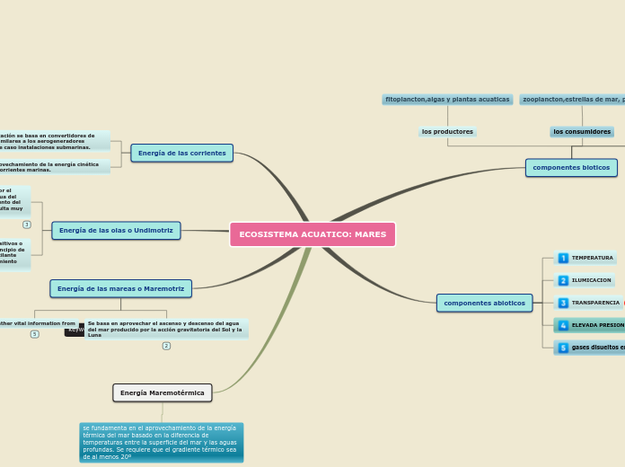 ECOSISTEMA ACUATICO: MARES