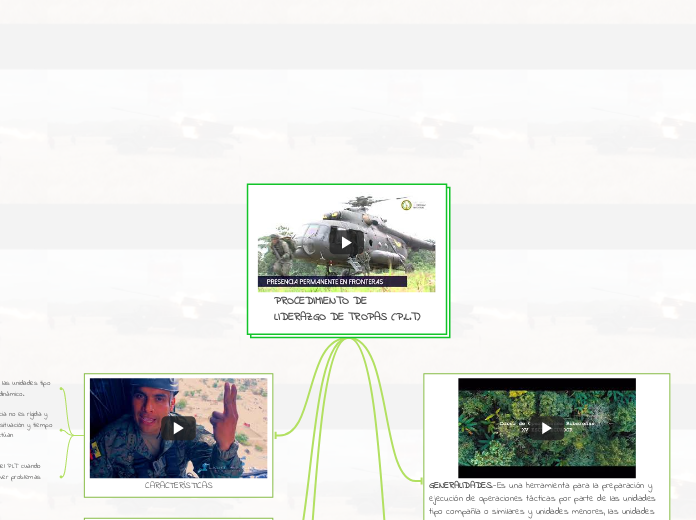 PROCEDIMIENTO DE
LIDERAZGO DE TROPAS (P.L.T)